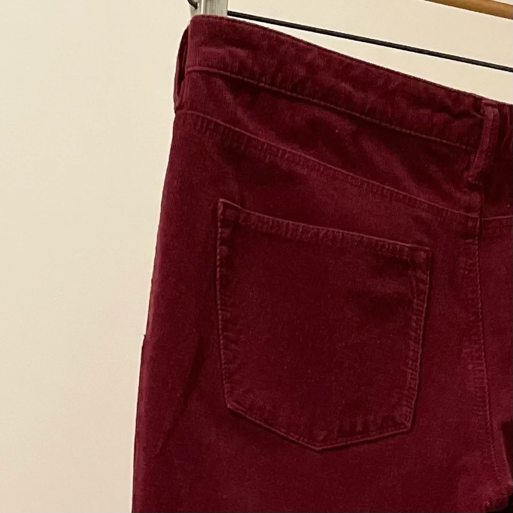 Pilcro Serif Cords Pants - Picture 4 of 12